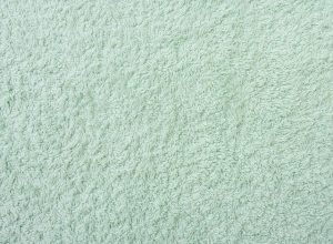 Read more about the article Your Carpet Does Not Need To Look Dirty